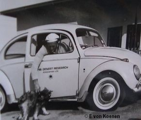 Early beetle