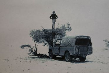 Standing on a vulture nest