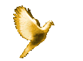 god-of-israel-in-the-bible-is-the-living-god.com