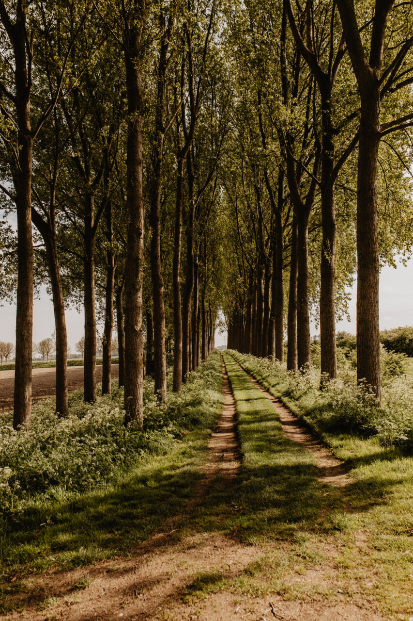 Walking and cycling route 78 Zeeuws-Vlaanderen starting at Goedleven16, through polders and towards the coast.