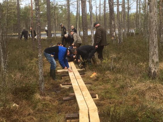 Nya spångar monterades