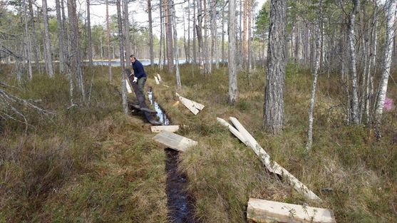 Gamla spångar togs bort