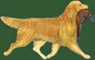Kennel Combine
