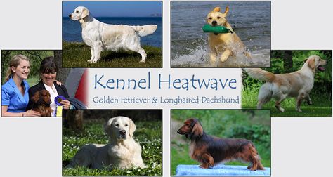 Kennel Heatwave