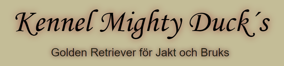 Kennel Mighty Duck´s