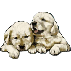 Kennel Golden Mermaid