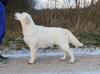 6 måneder 2