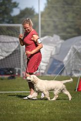 Debut Vejen 2025