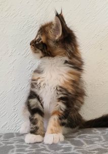 FB_IMG_1596030982227