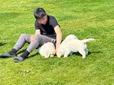 IMG_0912