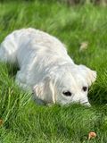 IMG_4831