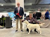 IMG_5437