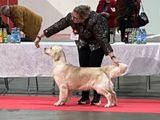 IMG_8498