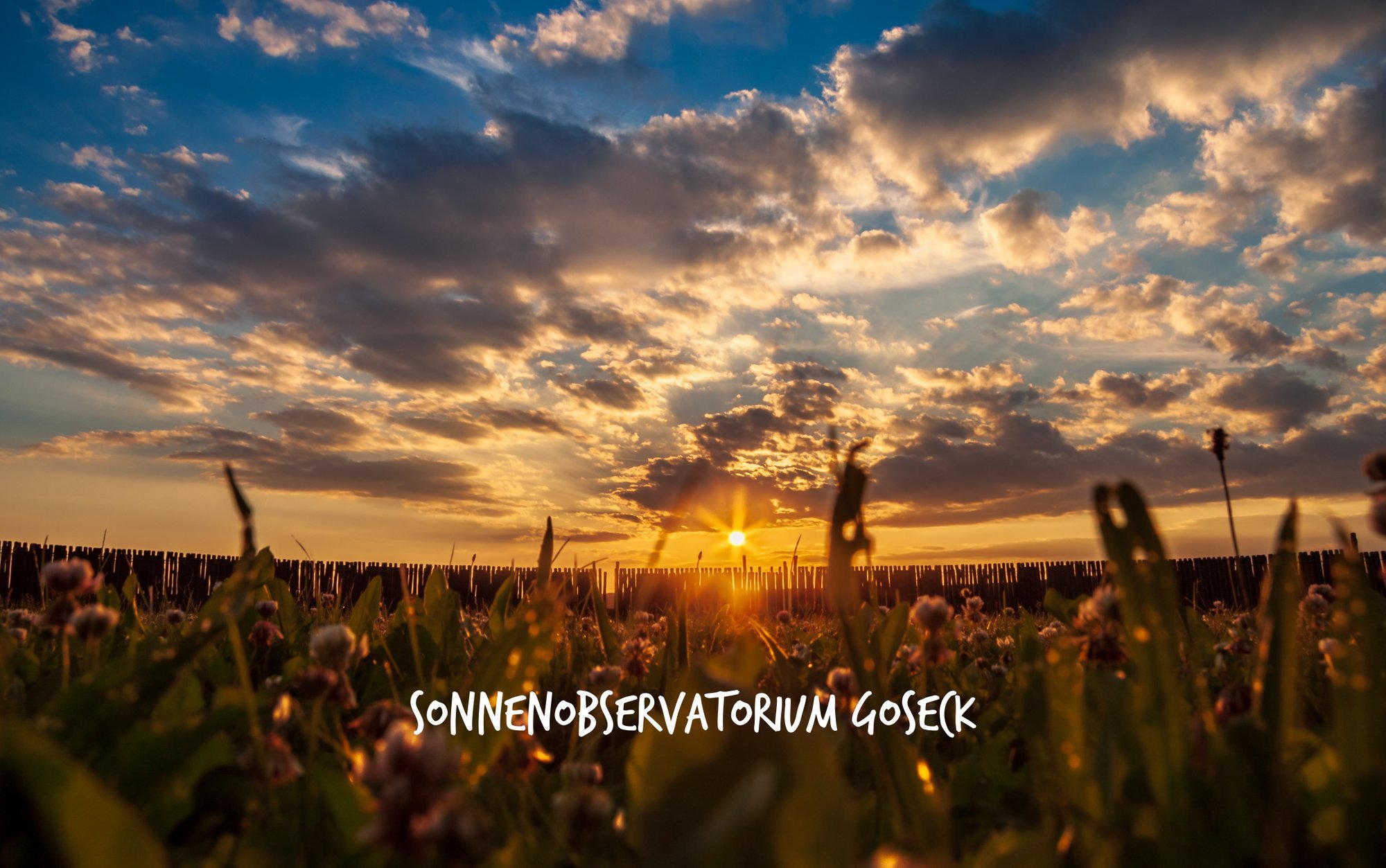 AdobeStock_218691293___serialized2