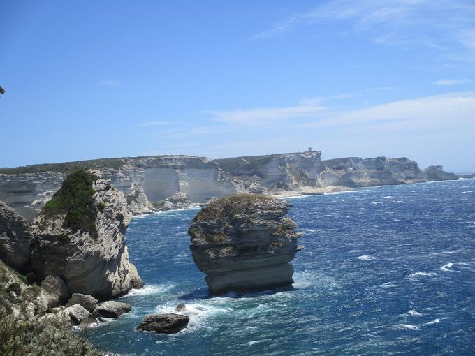 Bonifacio