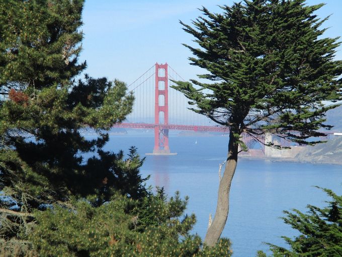 Lincoln Park Golf , Golden Gate Bridge , San Francisco
Photo DiRo
