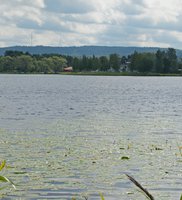 Skeppsbrokajen 2014
