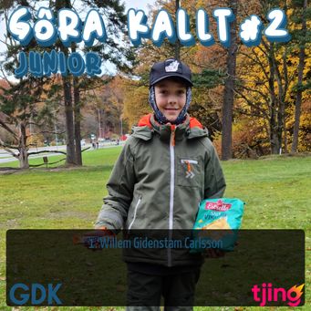 instakalltjunior2