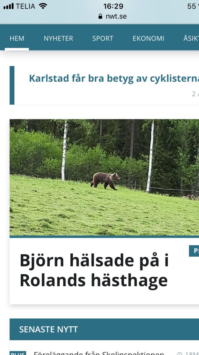 Idag hittade jag inget föl i hästhagen utan en björn😱