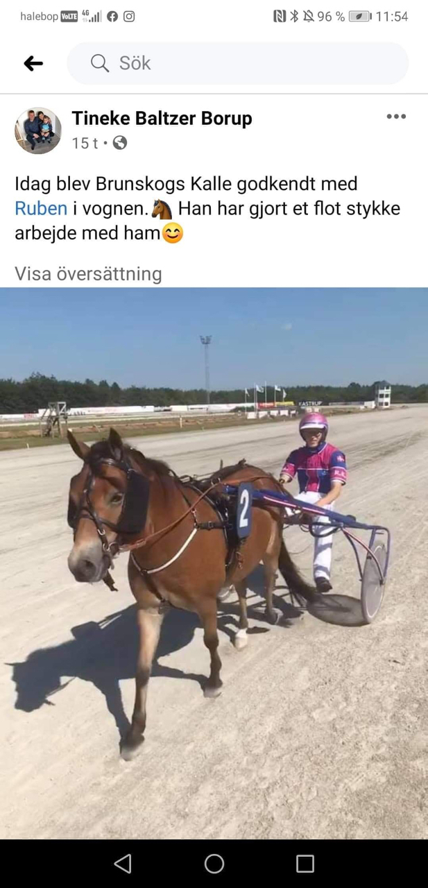 Roligt att se när det går bra för våra föl, här är Brunskogs Kalle som var vårt allra första föl som vi fick här på gården som nu bor i Danmark! Grattis och fortsatt lycka till önskar vi er😊
