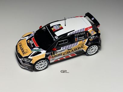 Skoda Fabia R5 Princen Condroz 2019 