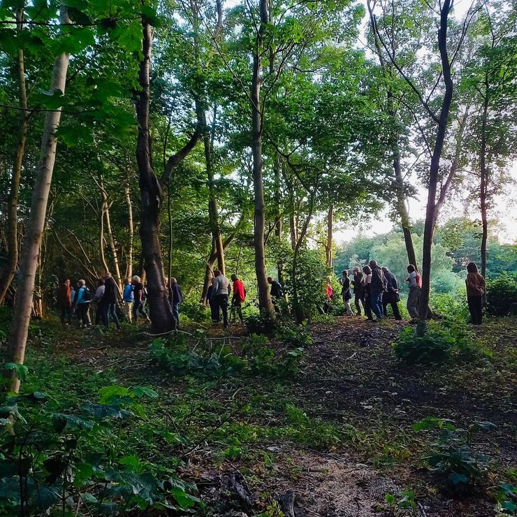 skov