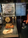 IMG_1950 (1)