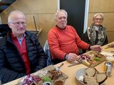 Vikingeskibe-18