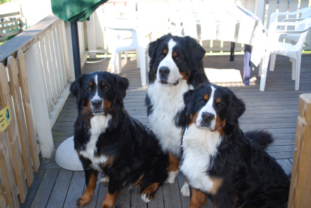 Syrrorna på besök! Arwen och Ronja Rövardotter
