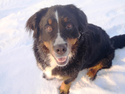Första snön
