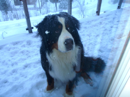 Får jag komma in? 
Gandalf dec 2009