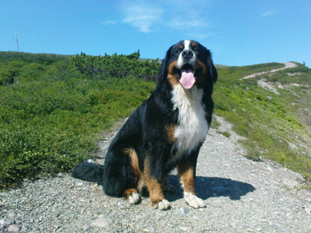 Aragorn 2009