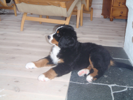 Vilken snygg profil!
