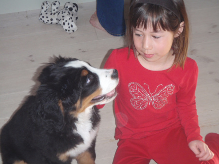 Brummelisa och Hanna