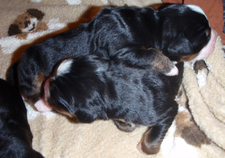 Artemis och Hefaistos