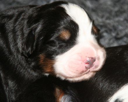Jag heter Artemis