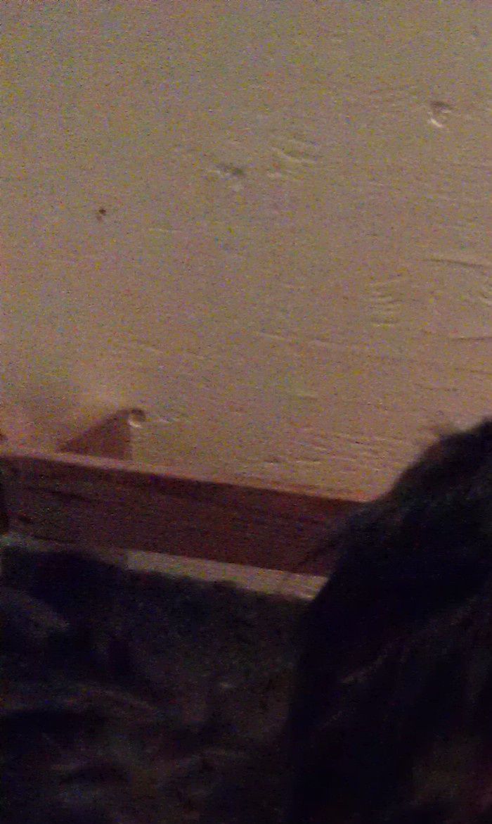 En stolt och väldigt duktig mamma.