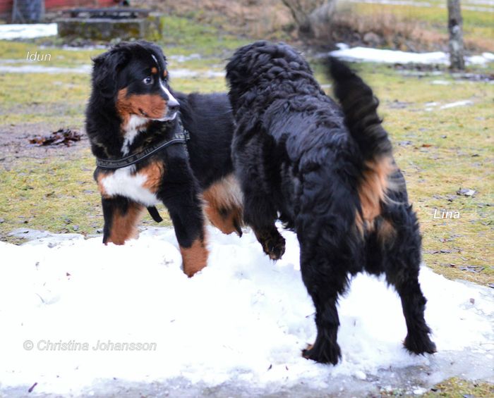Idun och Lina