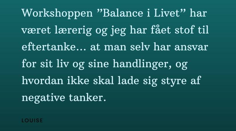 Anbefalinger workshop (3)