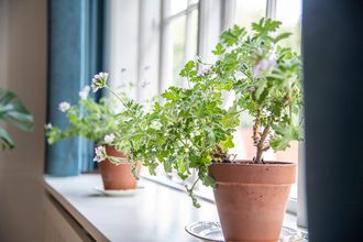 Interiørfotograf, københavn