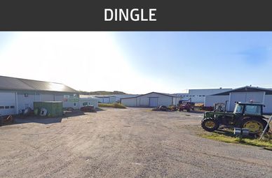 Kontakt Green Deer Dingle - Försäljning