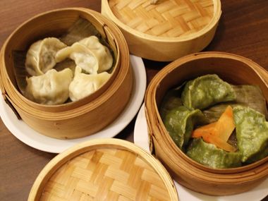 diverse Dumplings