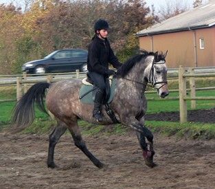 Santana med tidligere rytter. 