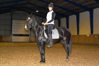 Valhallas Ladybird og Puk