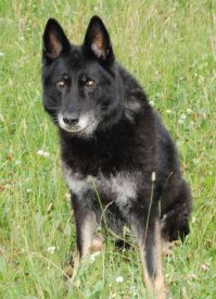 Hajens Iskolde Fryns, 13 år juli 2010