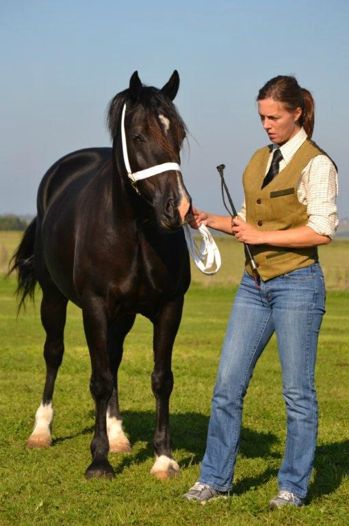 Valhallas Ladybird res champion sec D foto Zanne Jeding