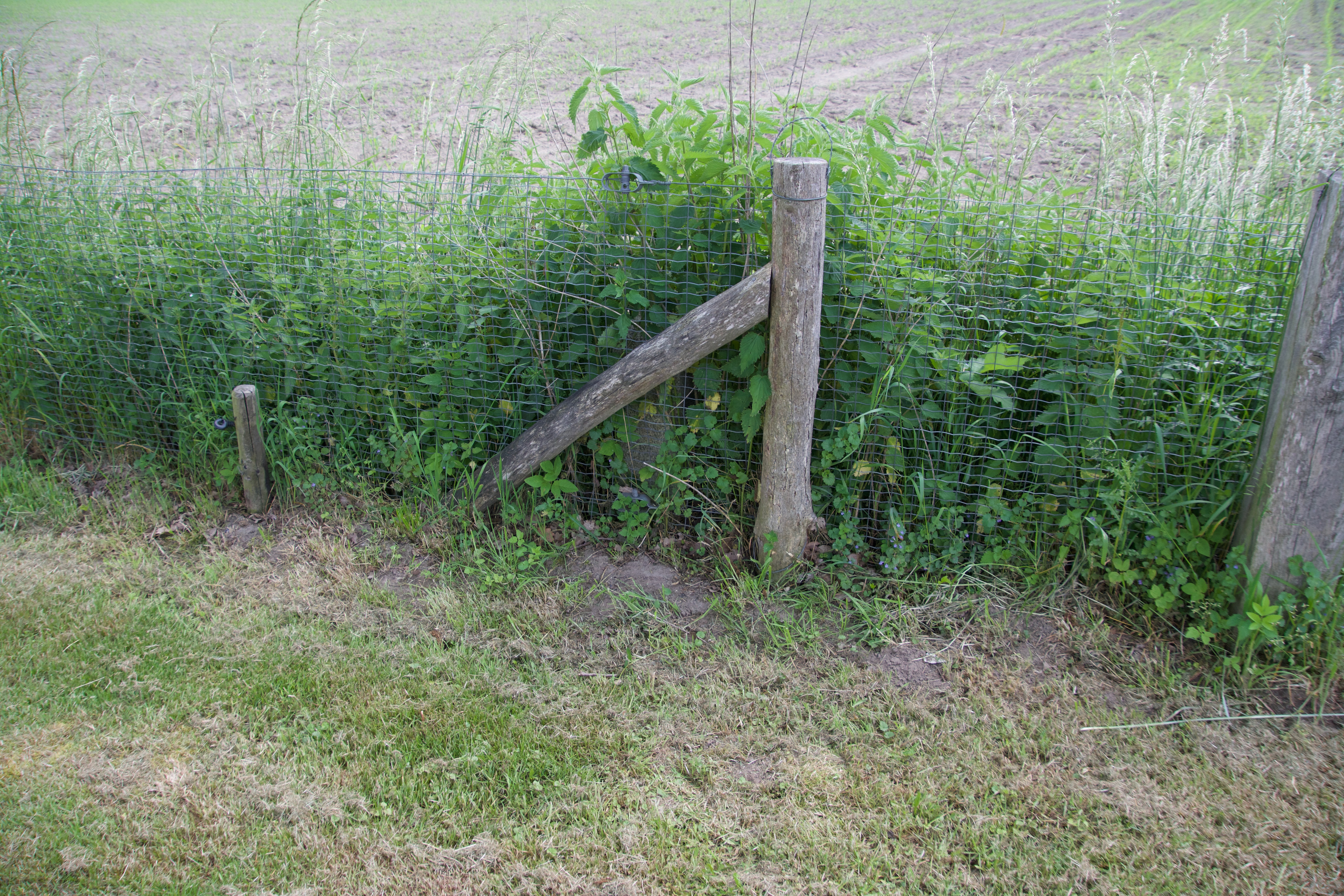 Grenssteen 609B