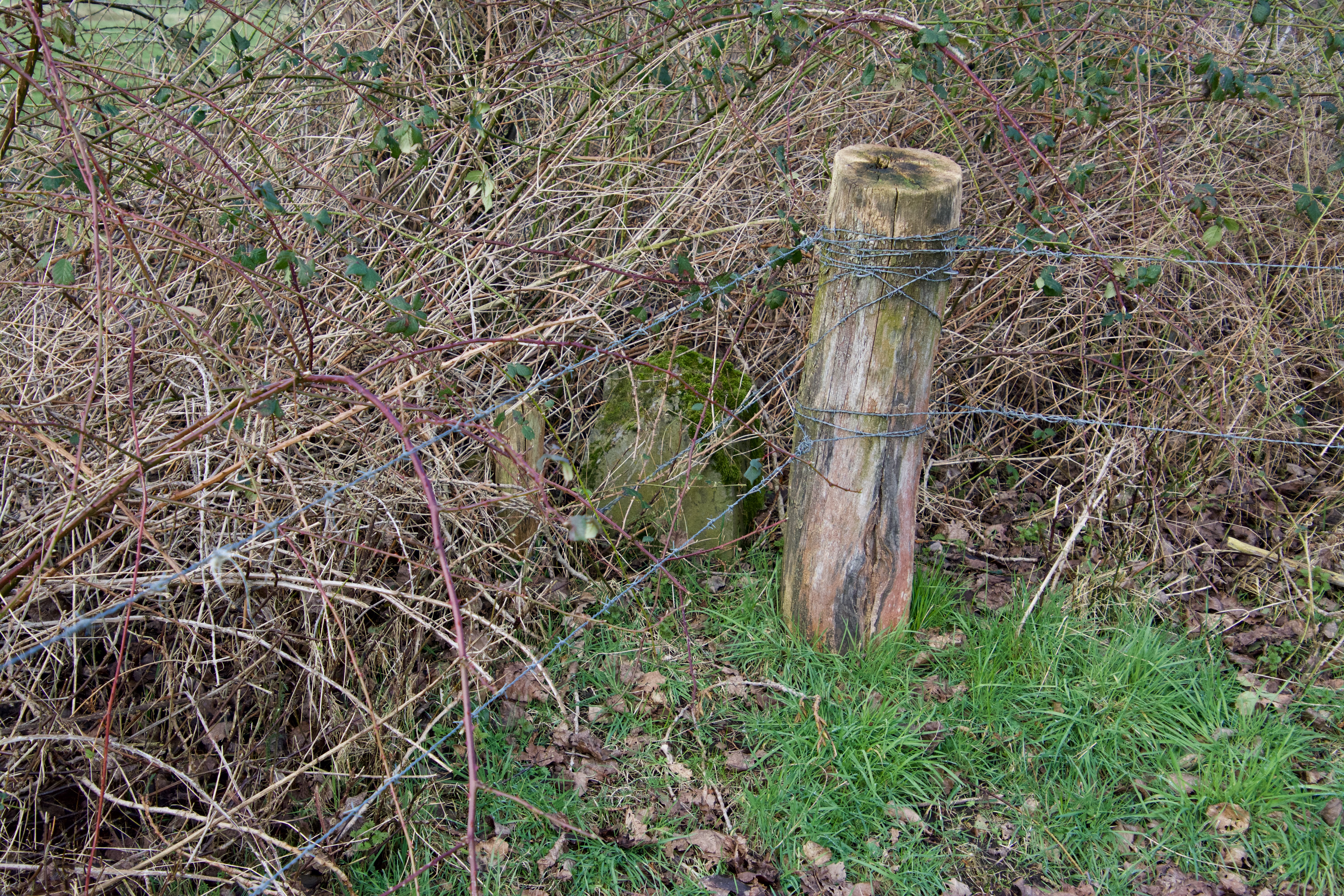 Grenssteen 210f