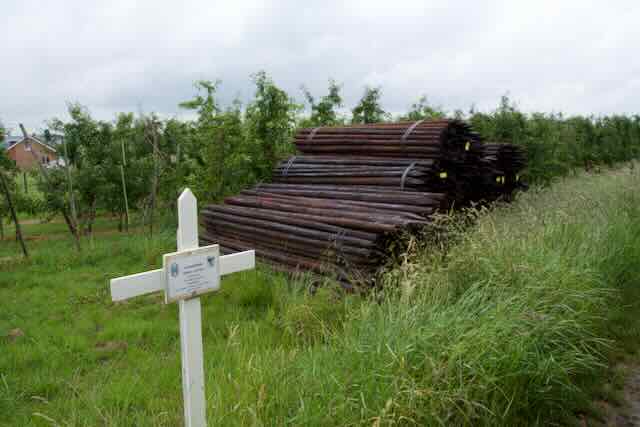 Nabij grenspaal 35