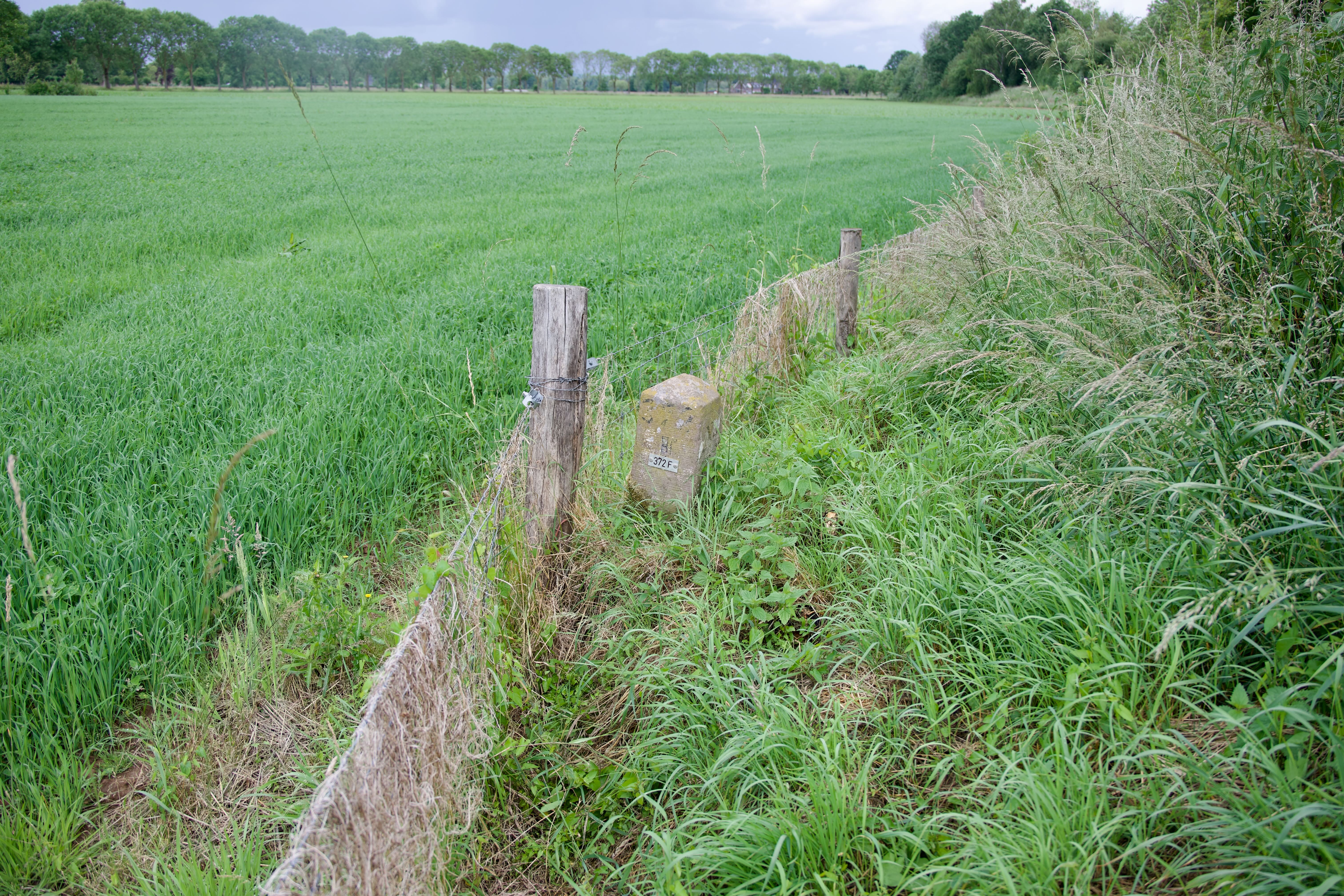 Grenssteen 372F